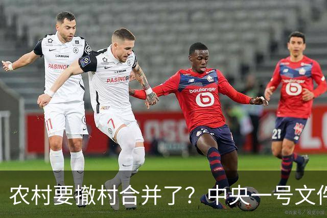 农村要撤村合并了?中央一号文件明确规定,农民必须有发言权
